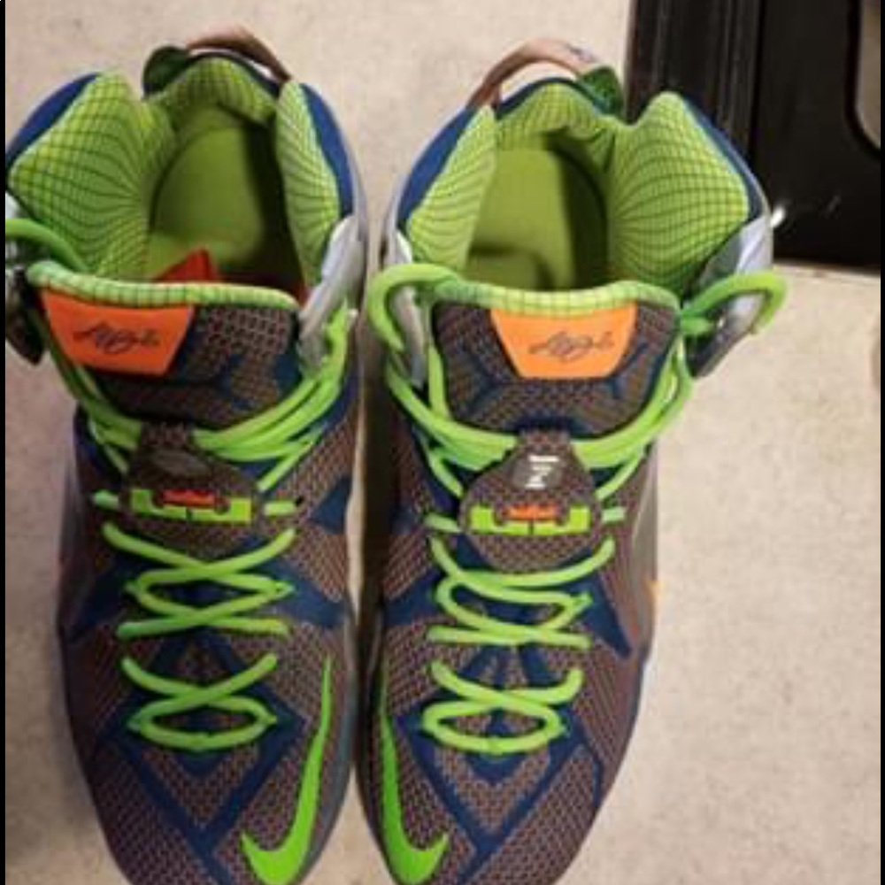 Men’s Lebron James Shoes